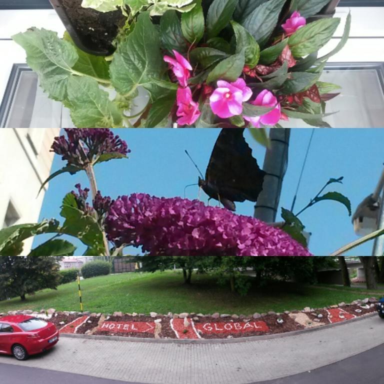 Hotel Global Sokolov Esterno foto